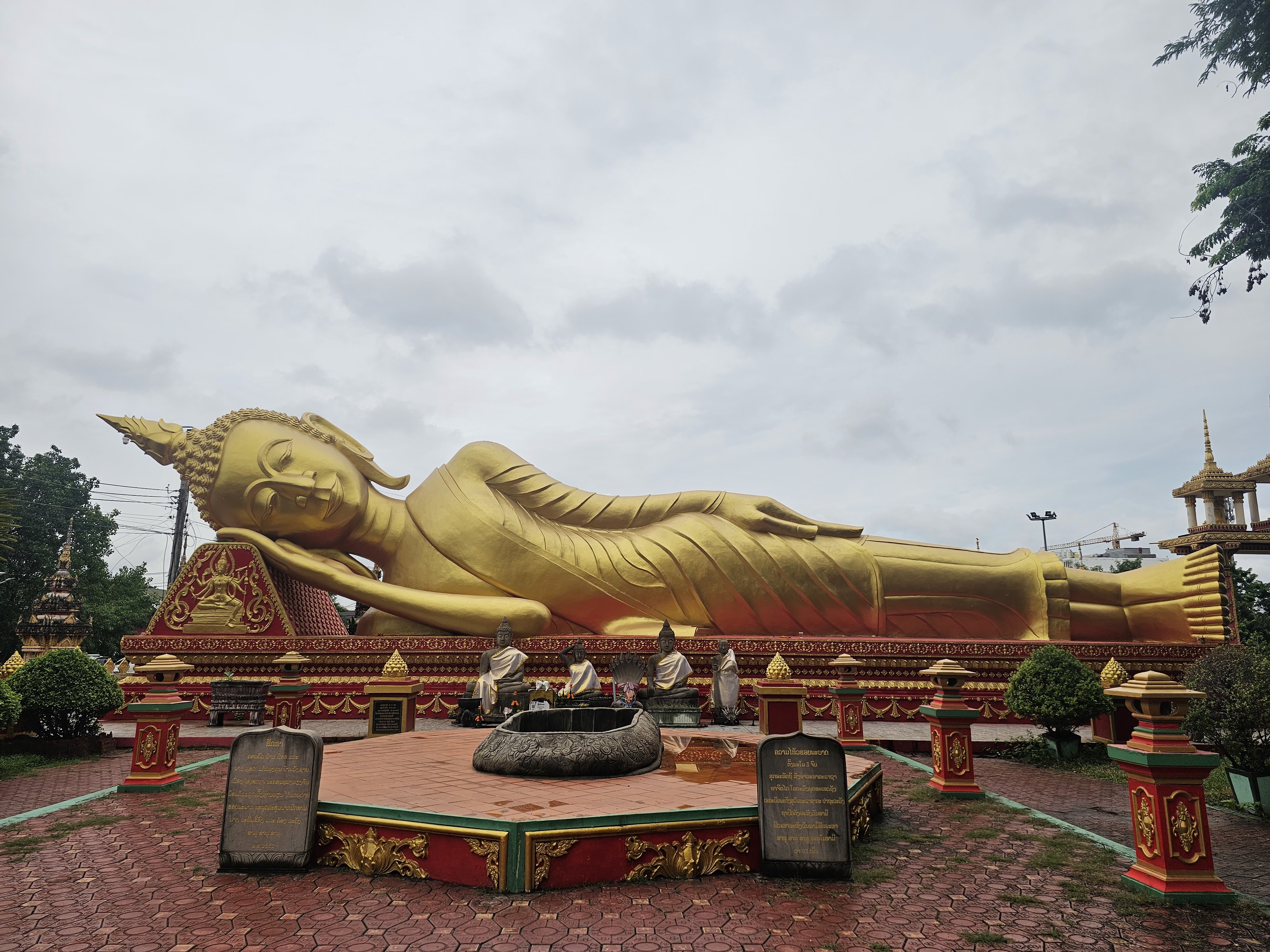 นกเหนือสนามหญ้าที่เงียบสงบ